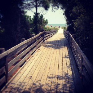 hilton head adventures