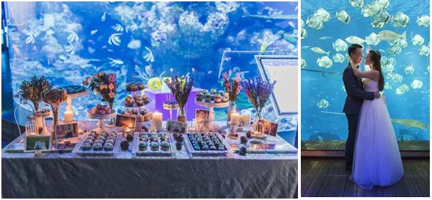 aquaria wedding - Qianlan and Cao Feng