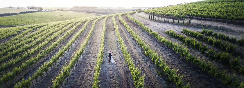 SvenStudios drone wedding photography vineyards